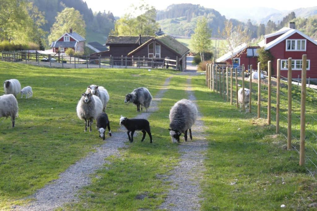 Skjerping Gardshus, Farm stay Lonevag